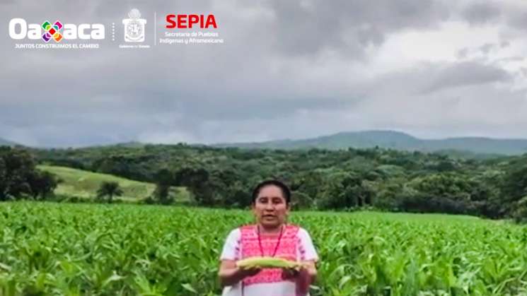 Pueblos indígenas, guardianes de la  diversidad de Oaxaca: Sepia