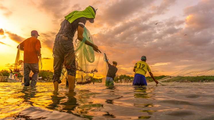 Causa Natura subsidios destinados a la pesca