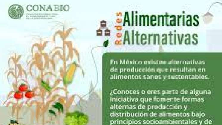 Abren convocatoria para crear Redes Alimentarias Alternativas