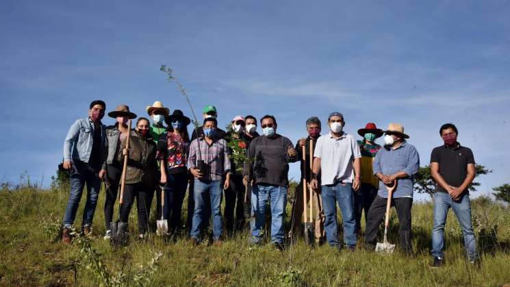 Se pierden en Oaxaca 30 mil hectáreas de bosque al año