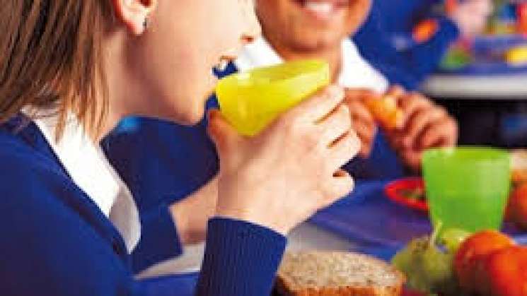 Educación alimentaria, clave contra obesidad infantil: Experta