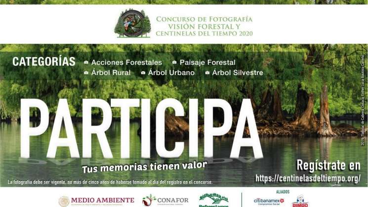 Lanzan Concurso de fotografía Visión Forestal y Centinelas