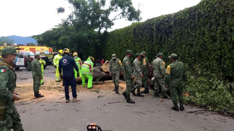 Atiende Protección Civil  afectaciones por lluvias en Oaxaca