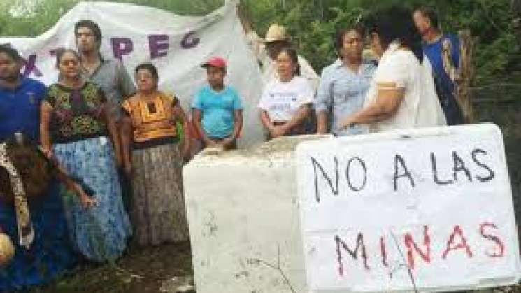 Realizan campaña on line en contra de minera en selva Chimalapas