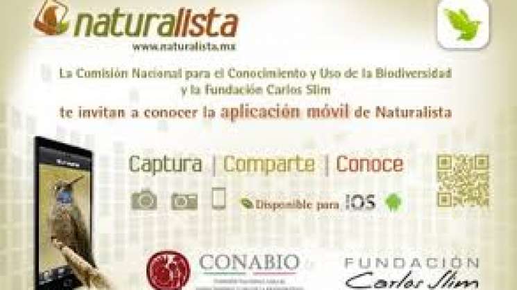 Naturalist llega a 50 millones de observaciones de naturaleza