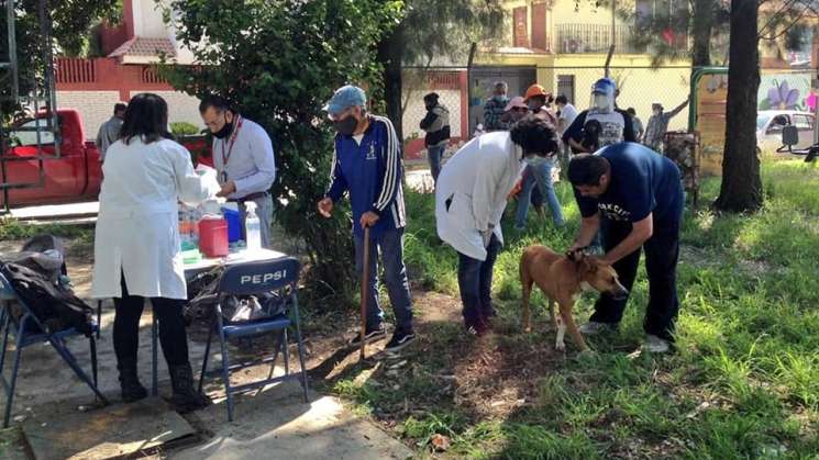 Oaxaca cumple 20 años sin Rabia Humana por mordida de perro