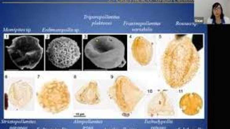 El polen,microfósil que reconstruye clima y vegetación remota