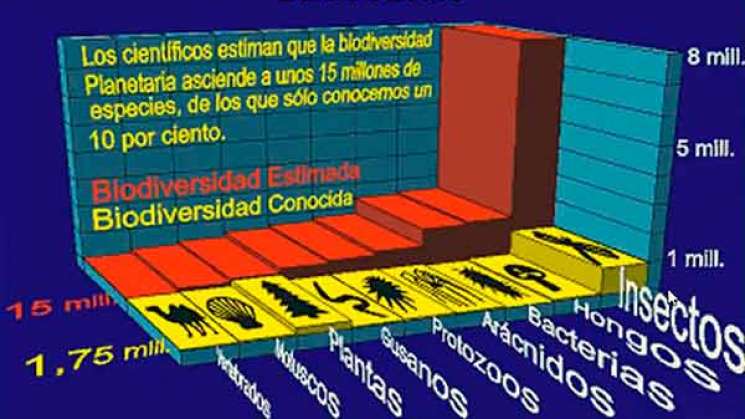 Abismal, el desconocimiento de insectos y su extinción: UNAM