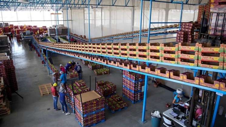 Se consolida Oaxaca en exportación de productos agroalimentarios