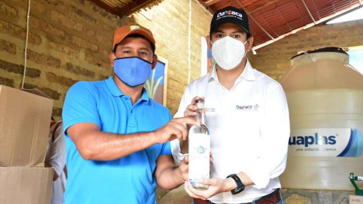 Fortalece Gobierno de Oaxaca cadena productiva del mezcal