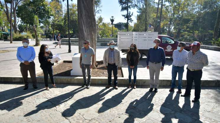 Intervienen árbol que hermana a Oaxaca de Juárez y Palo Alto