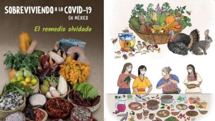  CONABIO presenta la Guía Sobreviviendo a la COVID-19 en México