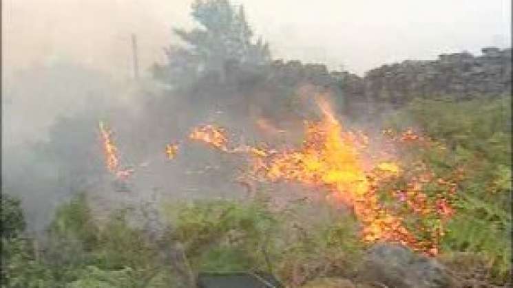 Atiende Coesfo incendios forestales en los Valles Centrales 