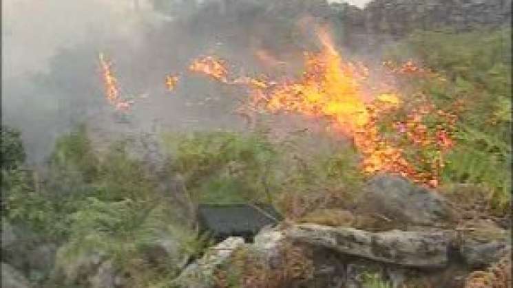 Declaran a cinco municipios en emergencia por incendios en Oaxaca