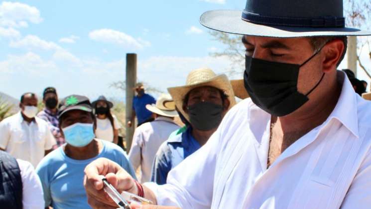 En Oaxaca ponen en marcha campaña de sanidad en agave  