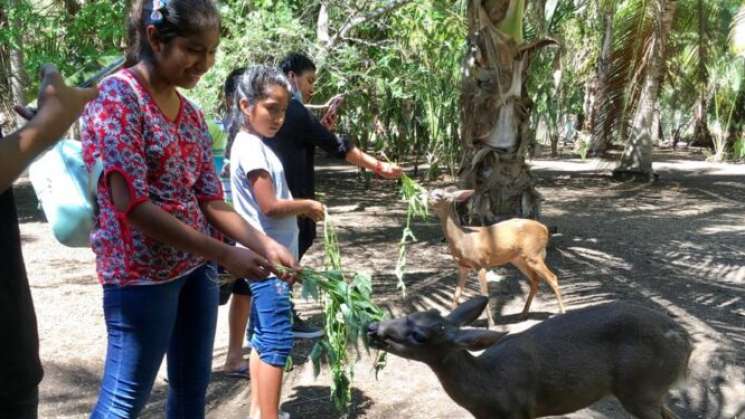 En Ventanilla, Guías comunitarios esperan llegada de vacacionista