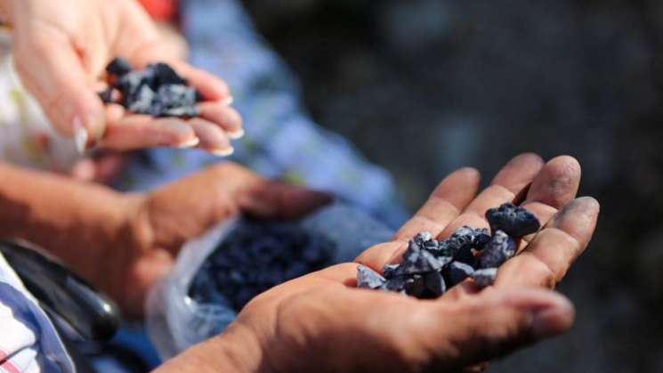 Oaxaca, un lugar con grandes riquezas naturales   