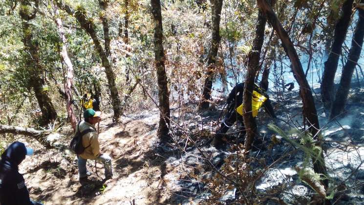 Declaran en emergencia a 28 municipios en Oaxaca