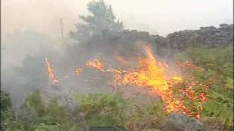 Solicita Elisa Zepeda a COESFO atender incendio en la Cañada