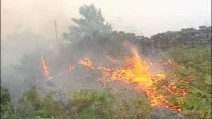  Continúan activos 91 incendios en el país