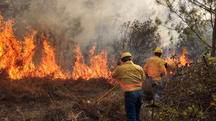 Se mantienen seis incendios forestales activos en Oaxaca