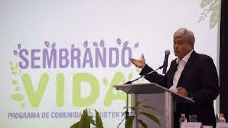 Visas a campesinos de Sembrando Vida propone AMLO a Biden