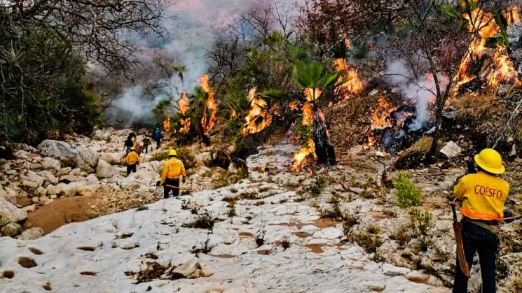 Controla Coesfo incendio en Magdalena Jaltepec 