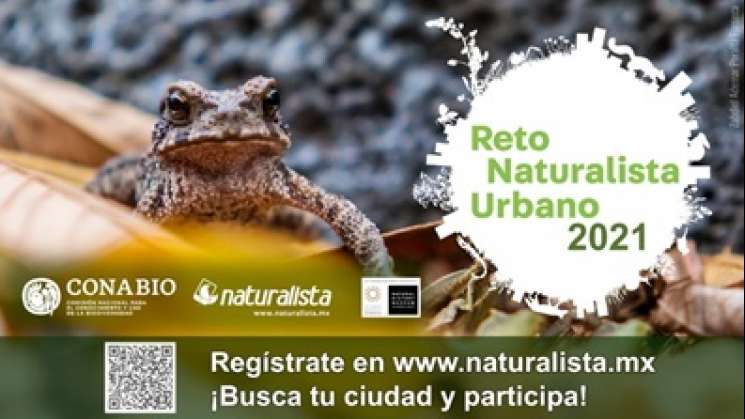 Arranca Reto Naturalista Urbano, prepara tu cámara!