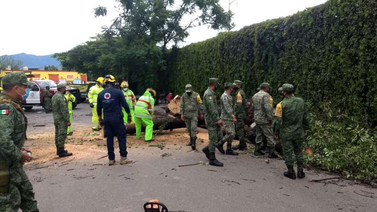 CEPCO y municipio de Zimatlán atienden daños en zonas afectadas 