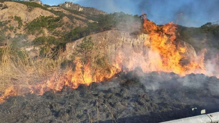 Entre enero y mayo hubo 5 mil 292 incendios forestales. Conafor