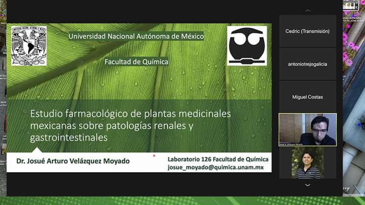 Estudian plantas medicinales para enfermedades gastrointestinales