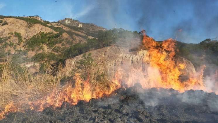 Continúan incendios forestales por vientos y falta de lluvia