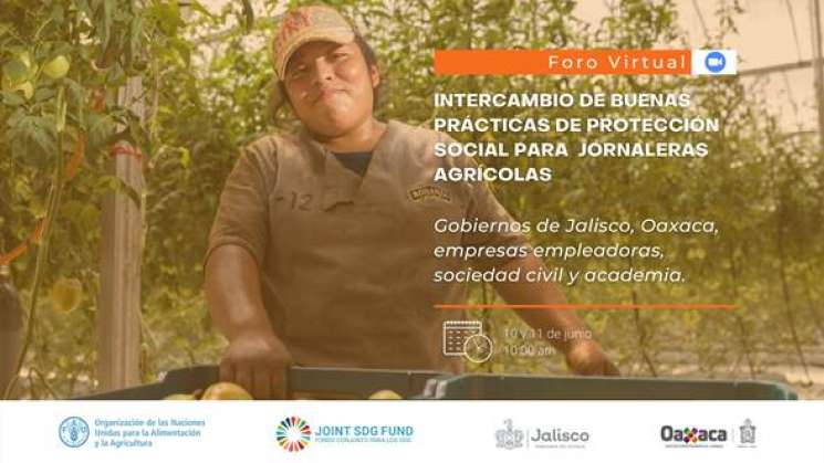 Foro de protección social  para jornaleras agrícolas en México