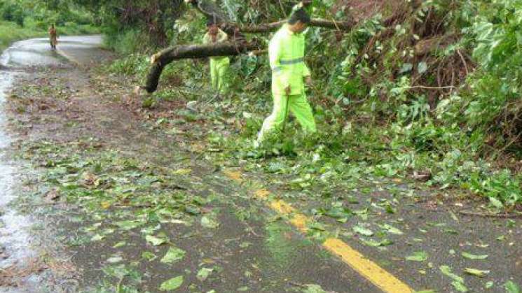 Implementan acciones por lluvias en el Istmo de Tehuantepec     ·