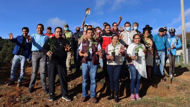 Realizan campaña de reforestación en Valles centrales