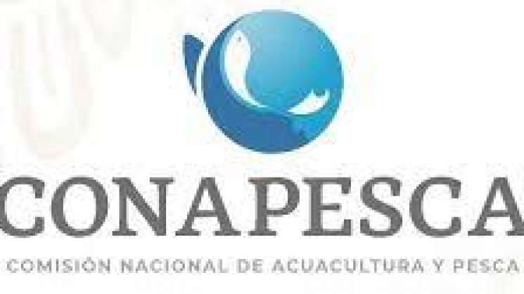 Conapesca retiene 179 mil productos de pesca ilegal 