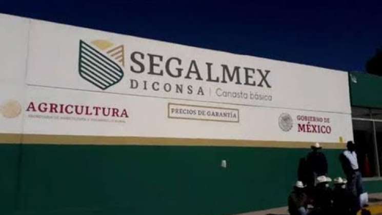 MCC: Segalmex adjudicó casi 800 mdp a red de empresas fantasma