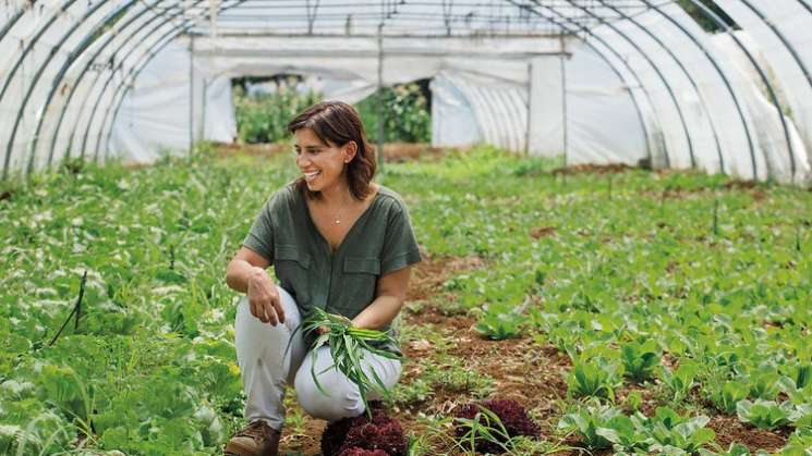 Escuelas para agricultores: cambio climático, principal lección