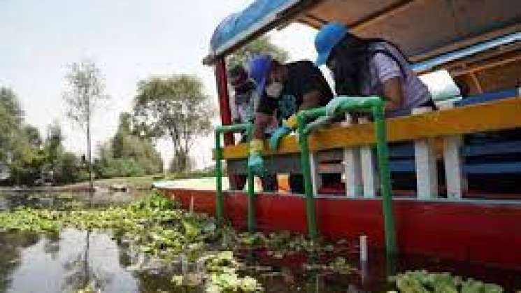 México usa energía solar para limpiar canales de Xochimilco