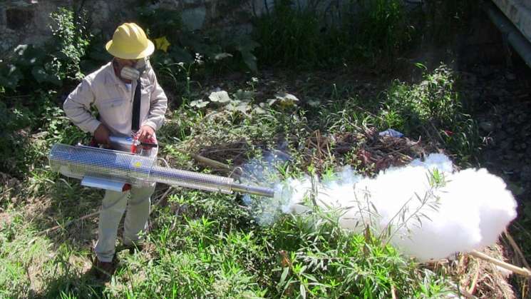 Conmemoran Día Internacional contra Dengue en Oaxaca