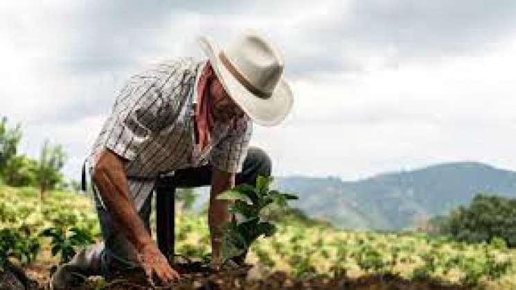 AMLO presentará programa Sembrando Vida a EEUU