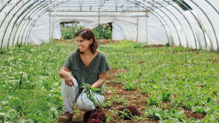 Seder: Comercio agroalimentario, con superávit de 1,415 mdd 