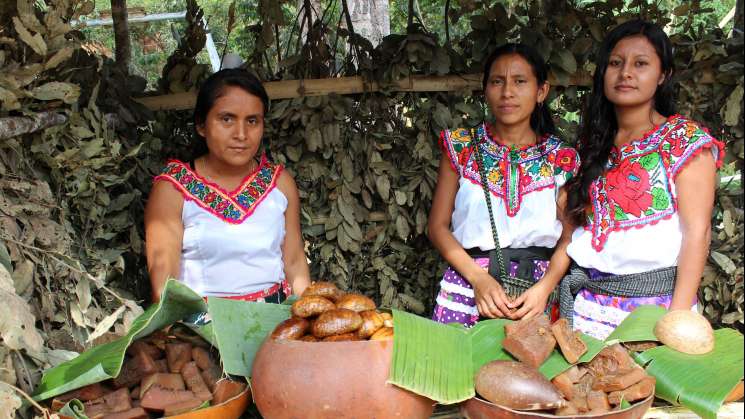 Alta prioridad del INPI, preservar más de 68 lenguas indígenas 