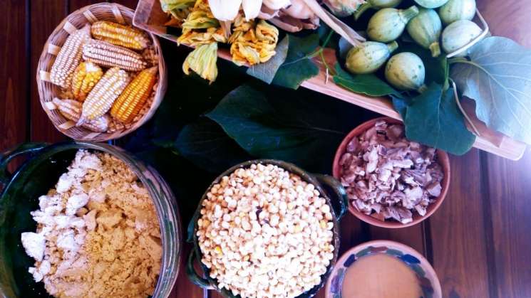 Cocineras tradicionales de Oaxaca comparten recetas de tamales