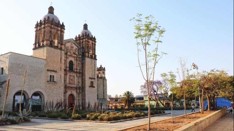 Siembran framboyanes en el atrio del templo de Santo Domingo