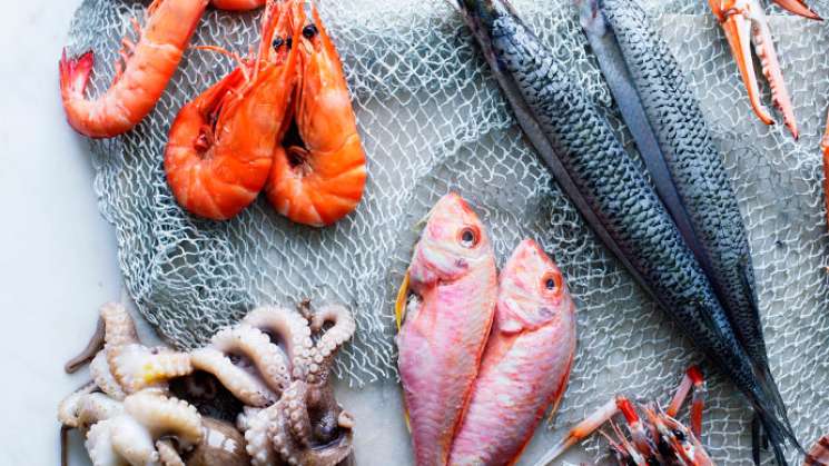 Semana santa con abasto de pescados y mariscos en México