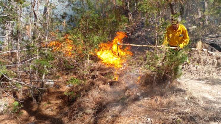 Controlado incendio forestal en Magdalena Peñasco,Tlaxiaco: CEPCO