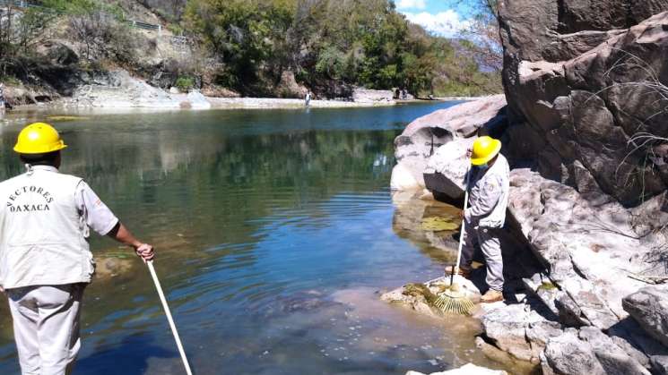 Oaxaca con cero casos autóctonos de Paludismo: SSO  