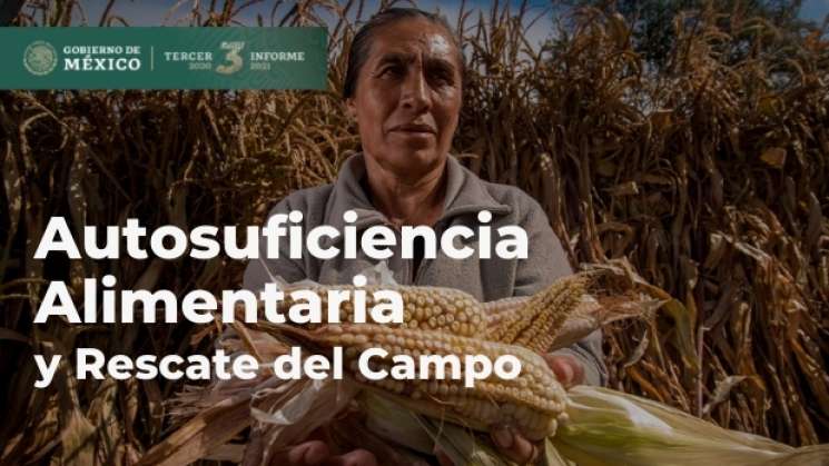 AMLO Implementará programa de autosuficiencia alimentaria 