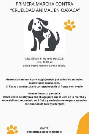 Marcha contra la crueldad animal